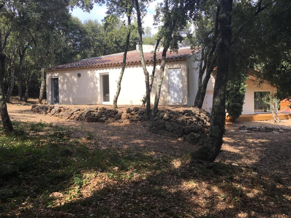 Villa Contemporaine Avec Piscine Au Calme Et Sans Vis-A-Vis Besse-sur-Issole Eksteriør billede