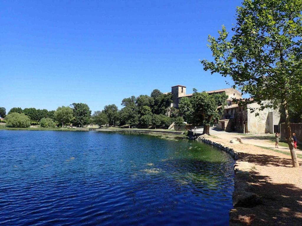 Villa Contemporaine Avec Piscine Au Calme Et Sans Vis-A-Vis Besse-sur-Issole Eksteriør billede